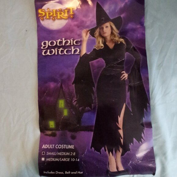 SPIRIT GOTHIC WITCH ADULT COSTUME SPIRIT HALLOWEEN DRESS BELT HAT SPOOKY SM - Picture 1 of 11